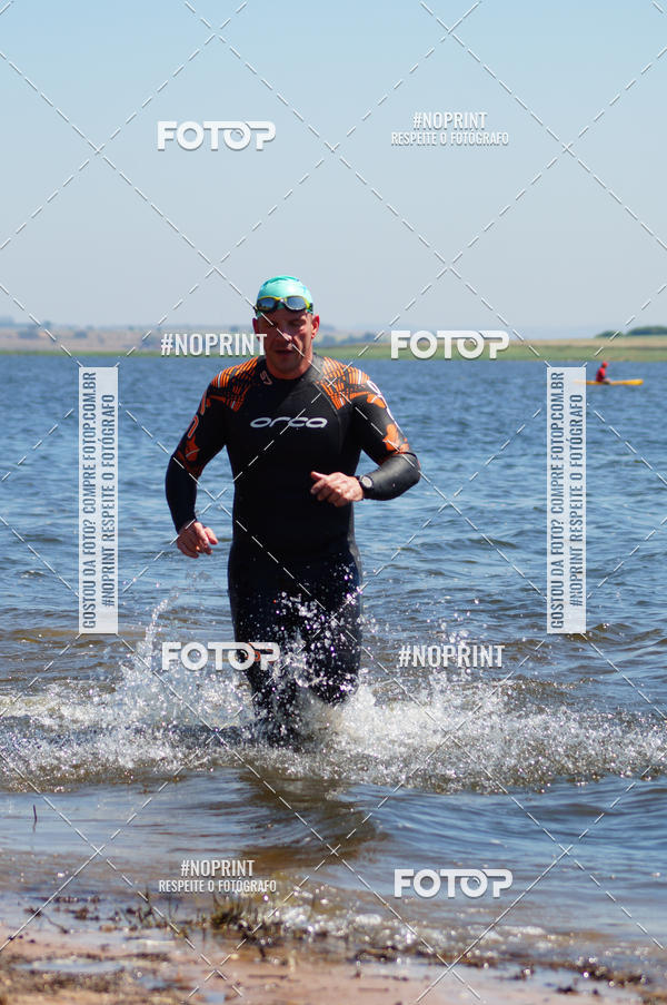 Buy your photos of the eventWolf Series - Botucatu on Fotop