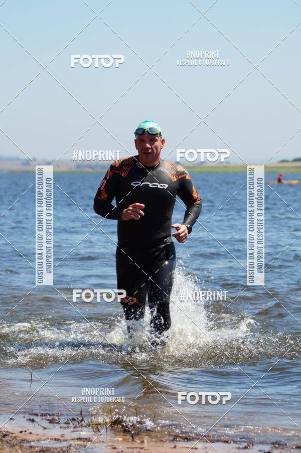 Buy your photos of the eventWolf Series - Botucatu on Fotop