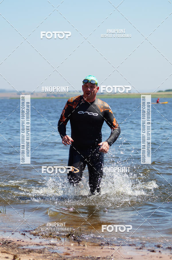 Buy your photos of the eventWolf Series - Botucatu on Fotop