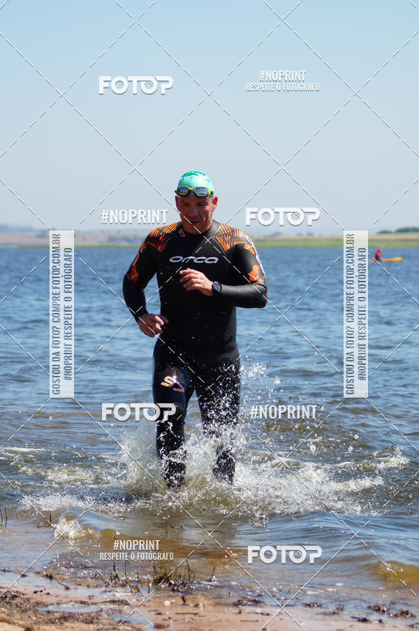 Buy your photos of the eventWolf Series - Botucatu on Fotop