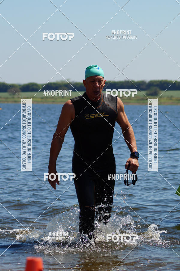 Buy your photos of the eventWolf Series - Botucatu on Fotop