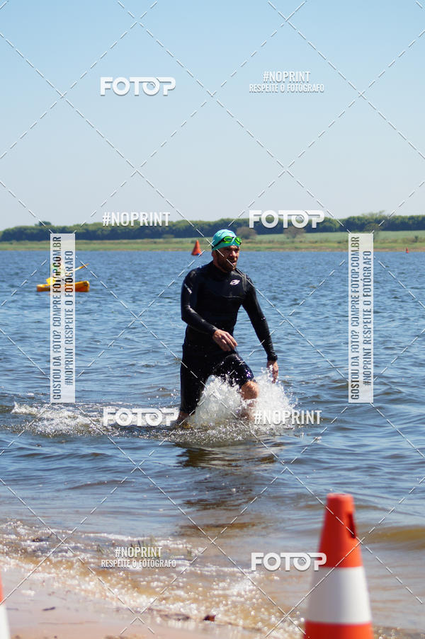 Buy your photos of the eventWolf Series - Botucatu on Fotop