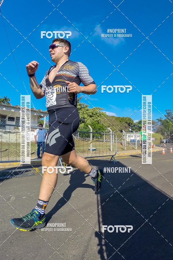 Buy your photos of the eventWolf Series - Botucatu on Fotop