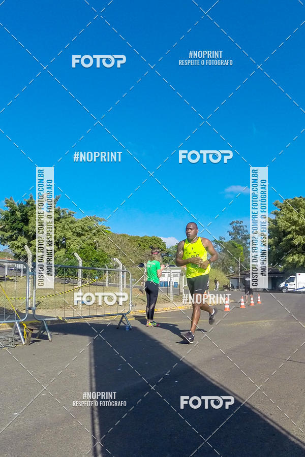 Buy your photos of the eventWolf Series - Botucatu on Fotop