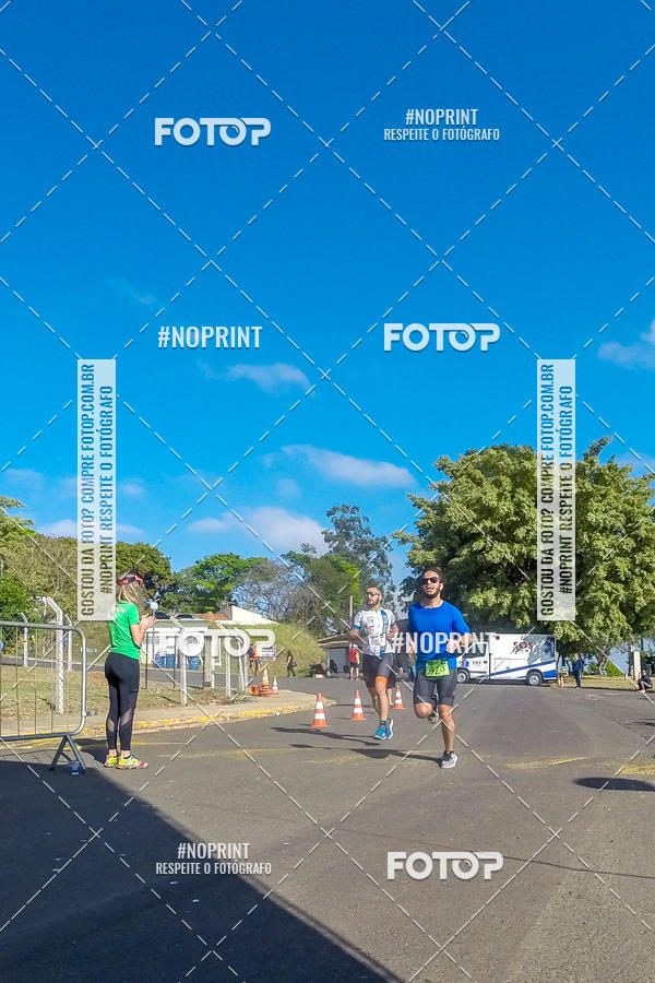 Buy your photos of the eventWolf Series - Botucatu on Fotop