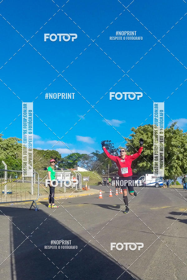 Buy your photos of the eventWolf Series - Botucatu on Fotop