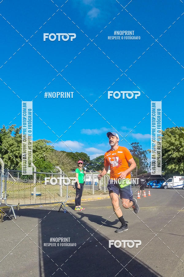 Buy your photos of the eventWolf Series - Botucatu on Fotop