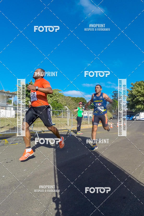 Buy your photos of the eventWolf Series - Botucatu on Fotop