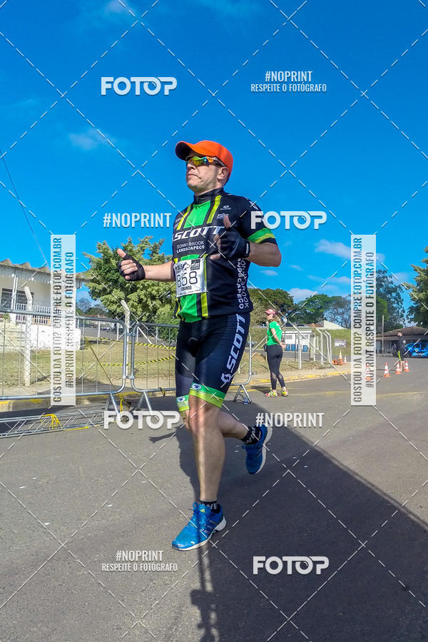 Buy your photos of the eventWolf Series - Botucatu on Fotop