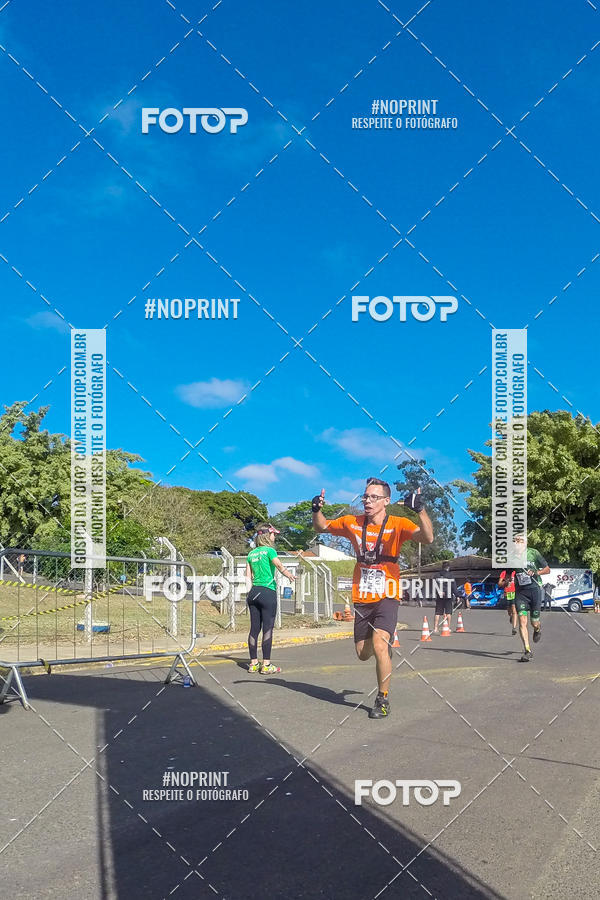 Buy your photos of the eventWolf Series - Botucatu on Fotop