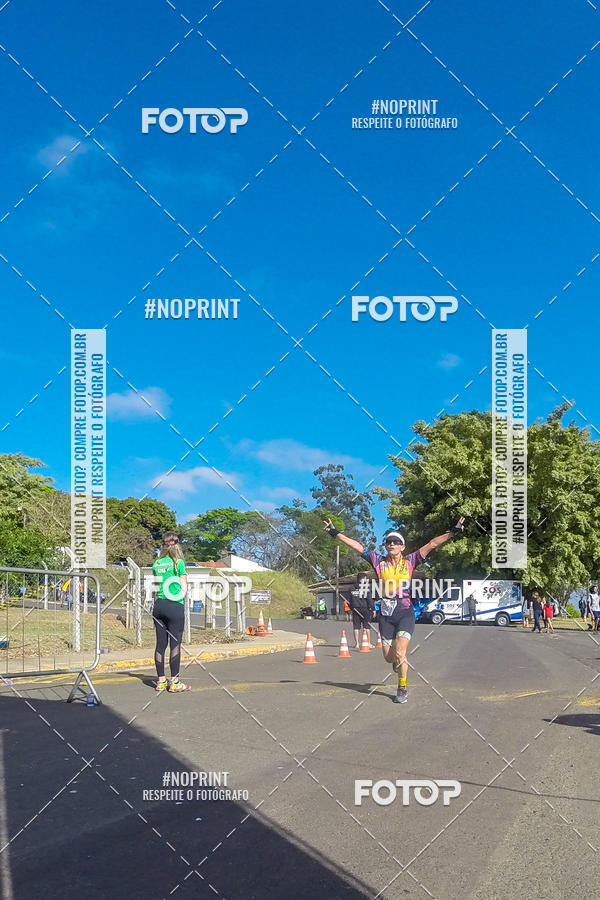 Buy your photos of the eventWolf Series - Botucatu on Fotop