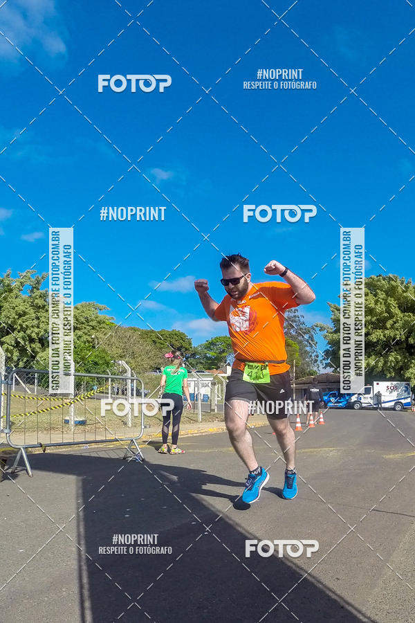 Buy your photos of the eventWolf Series - Botucatu on Fotop