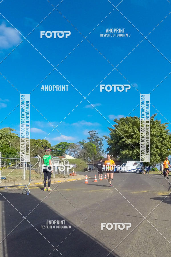 Buy your photos of the eventWolf Series - Botucatu on Fotop