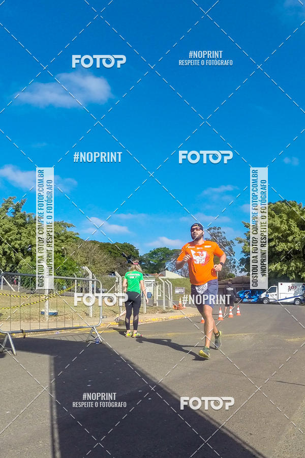 Buy your photos of the eventWolf Series - Botucatu on Fotop