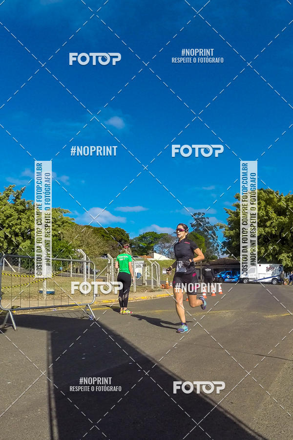 Buy your photos of the eventWolf Series - Botucatu on Fotop