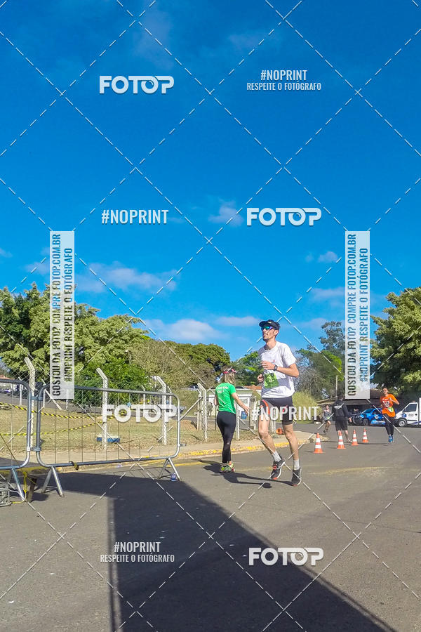 Buy your photos of the eventWolf Series - Botucatu on Fotop