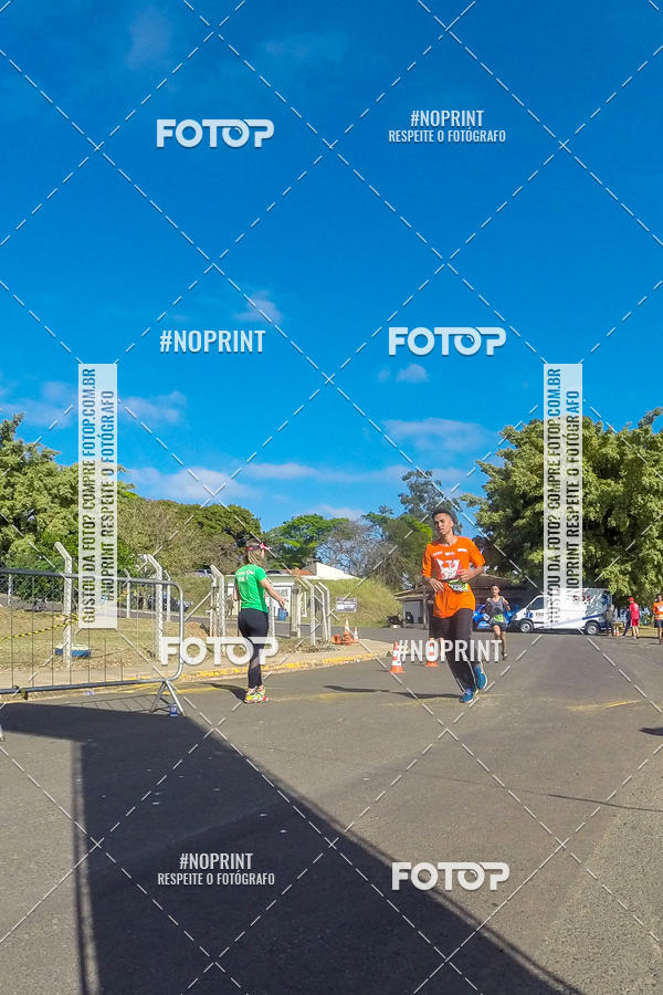 Buy your photos of the eventWolf Series - Botucatu on Fotop