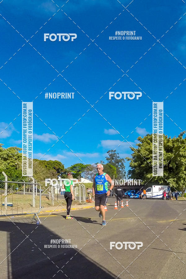 Buy your photos of the eventWolf Series - Botucatu on Fotop