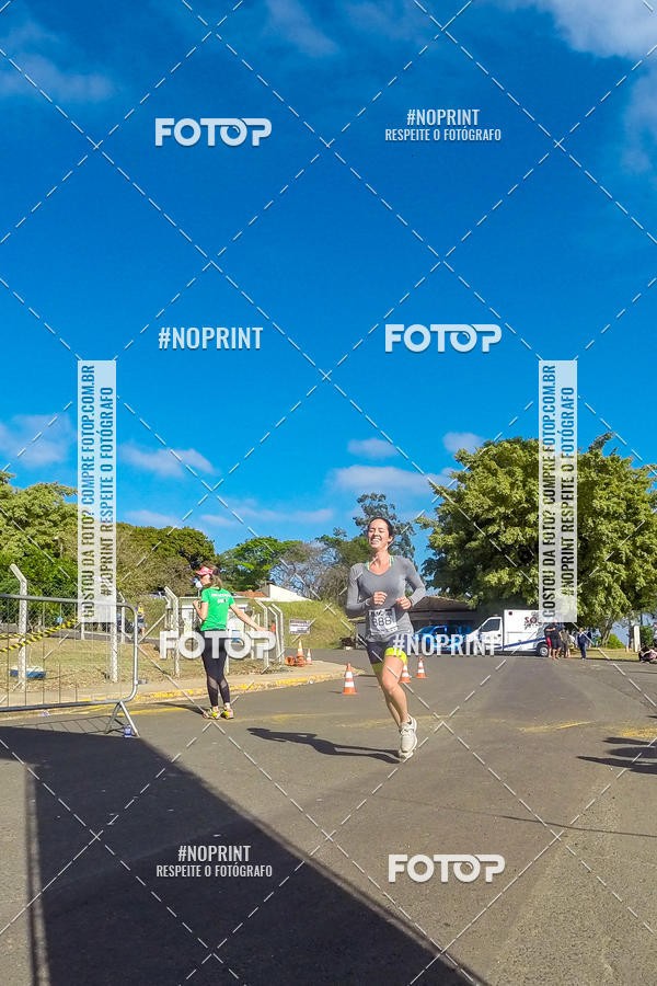 Buy your photos of the eventWolf Series - Botucatu on Fotop