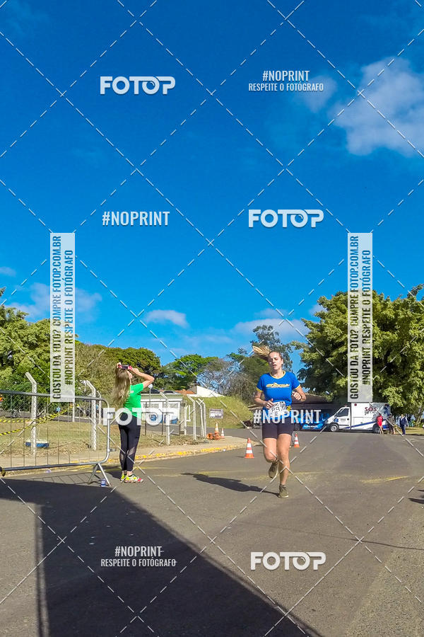 Buy your photos of the eventWolf Series - Botucatu on Fotop