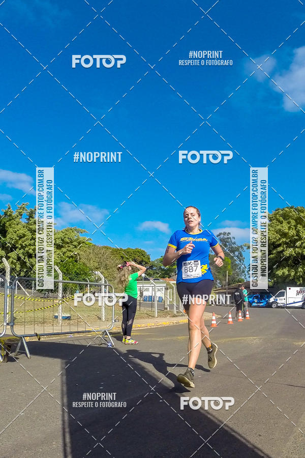 Buy your photos of the eventWolf Series - Botucatu on Fotop