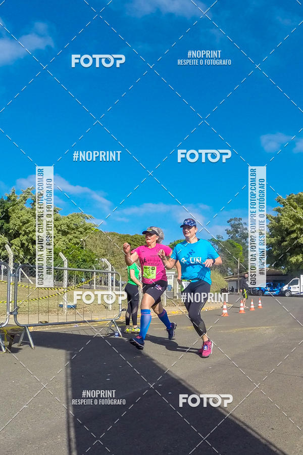 Buy your photos of the eventWolf Series - Botucatu on Fotop