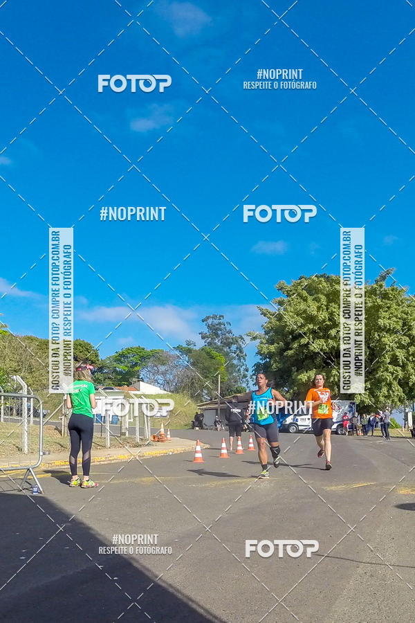 Buy your photos of the eventWolf Series - Botucatu on Fotop