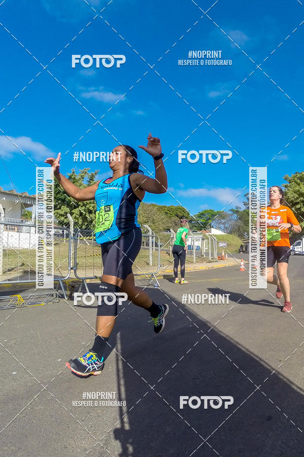 Buy your photos of the eventWolf Series - Botucatu on Fotop