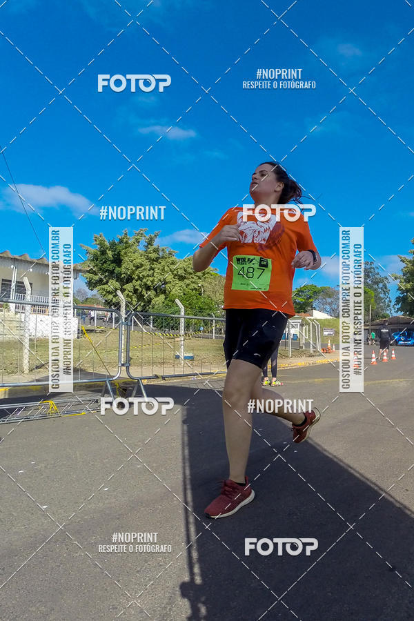 Buy your photos of the eventWolf Series - Botucatu on Fotop