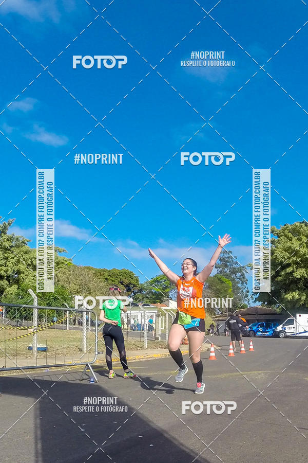 Buy your photos of the eventWolf Series - Botucatu on Fotop