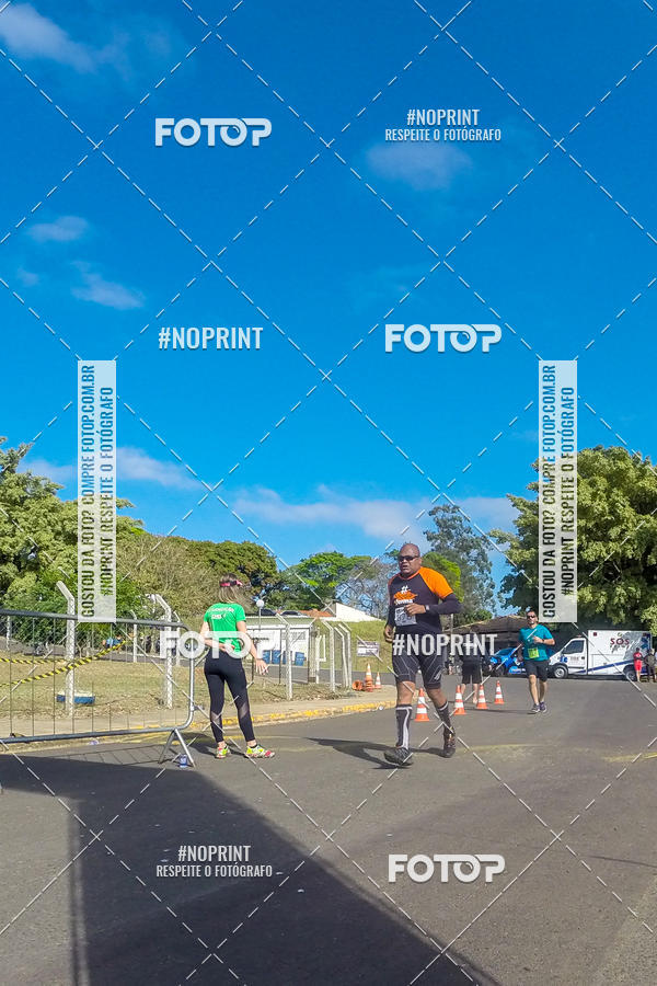 Buy your photos of the eventWolf Series - Botucatu on Fotop