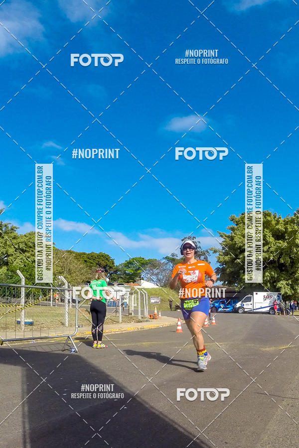 Buy your photos of the eventWolf Series - Botucatu on Fotop