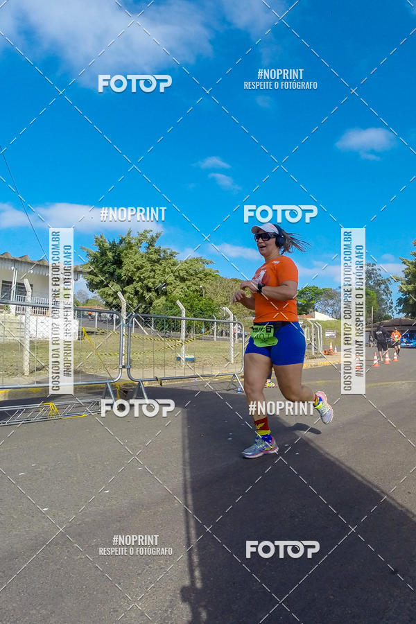 Buy your photos of the eventWolf Series - Botucatu on Fotop