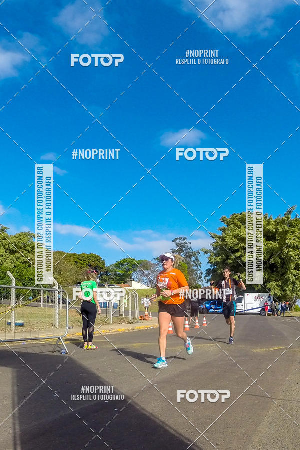 Buy your photos of the eventWolf Series - Botucatu on Fotop