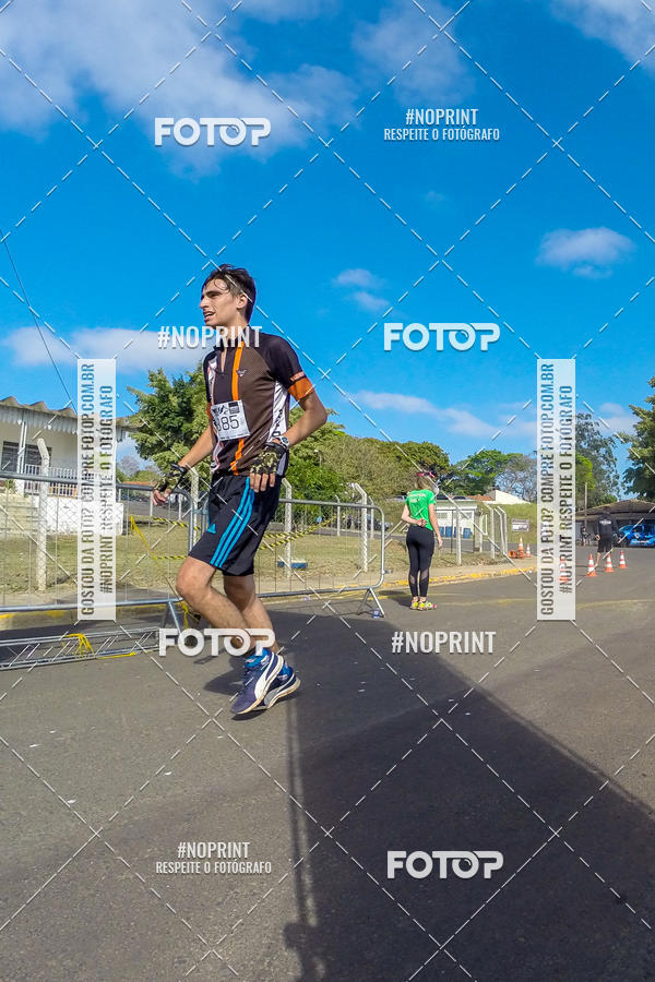 Buy your photos of the eventWolf Series - Botucatu on Fotop