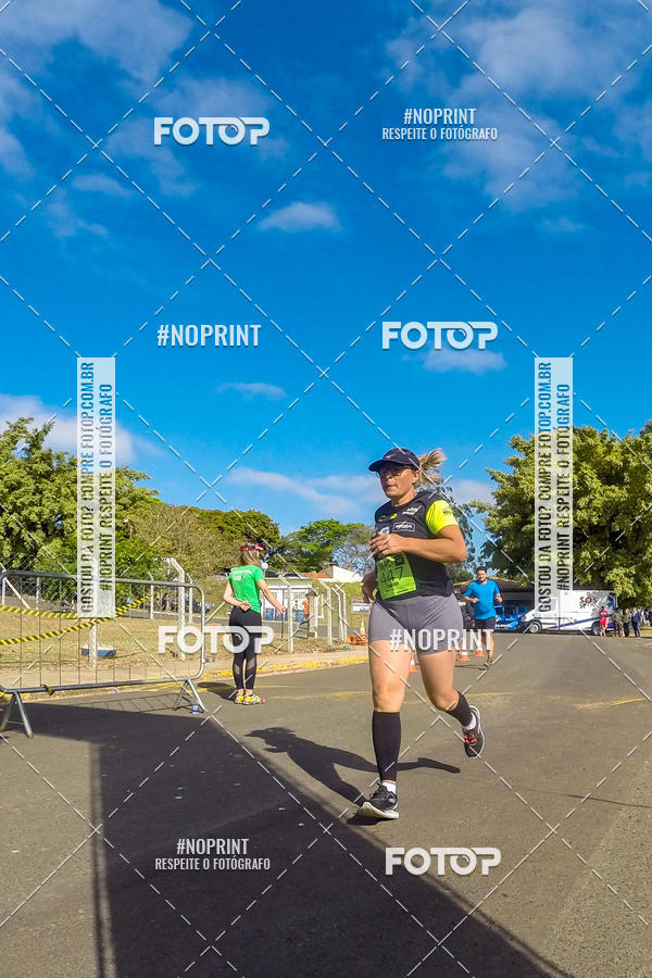 Buy your photos of the eventWolf Series - Botucatu on Fotop