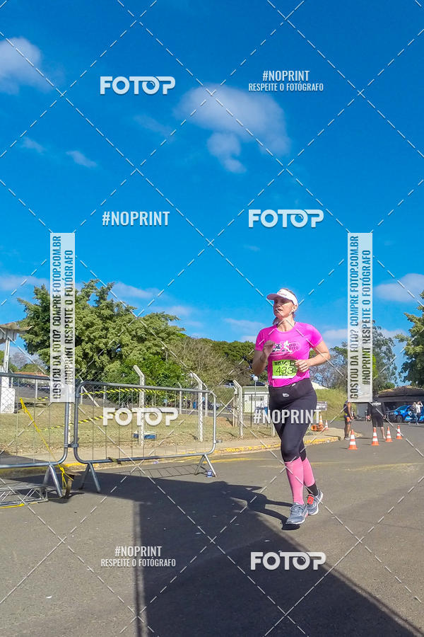 Buy your photos of the eventWolf Series - Botucatu on Fotop