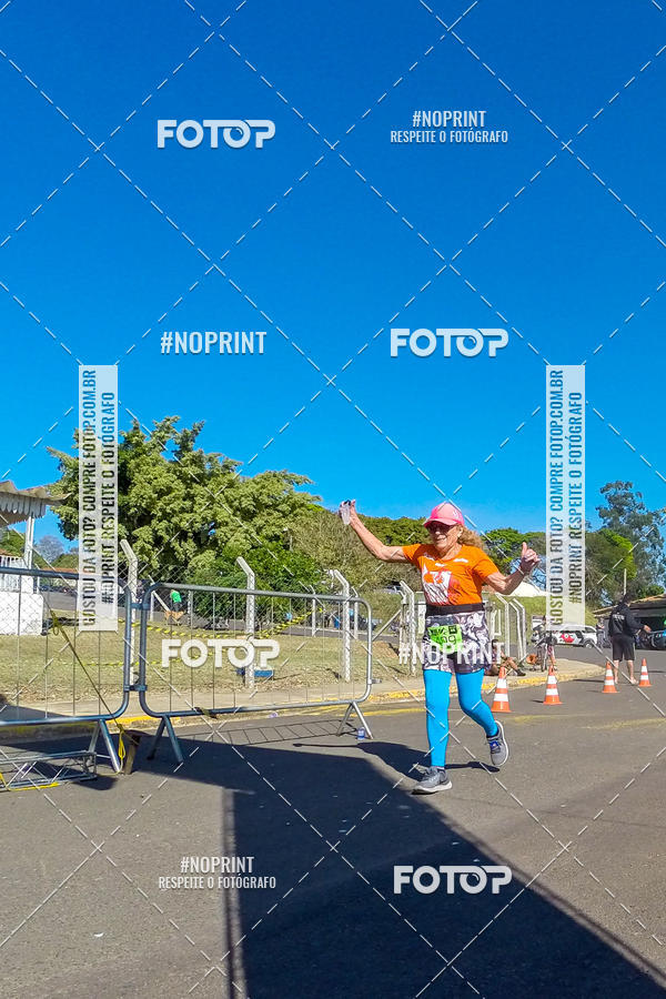 Buy your photos of the eventWolf Series - Botucatu on Fotop