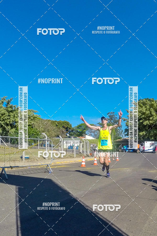 Buy your photos of the eventWolf Series - Botucatu on Fotop