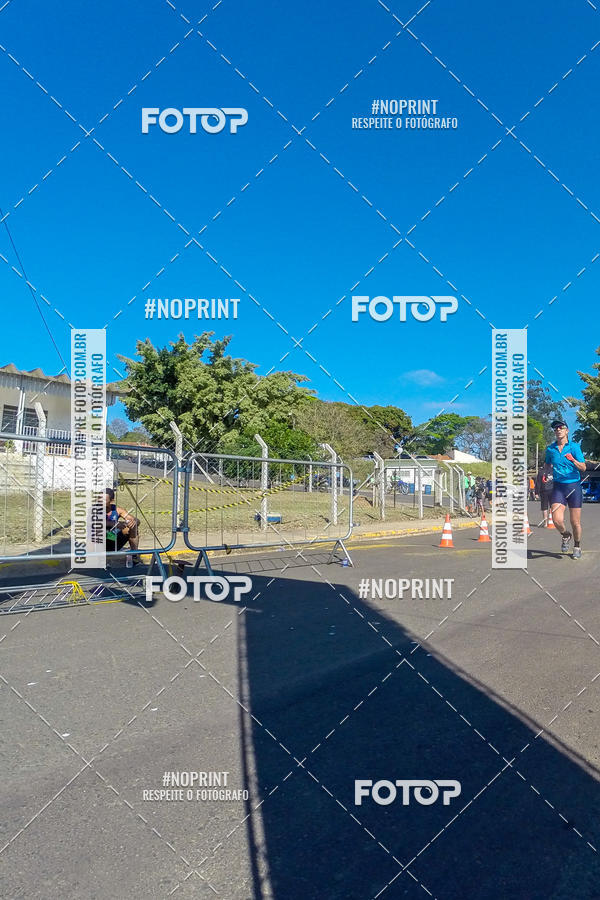 Buy your photos of the eventWolf Series - Botucatu on Fotop