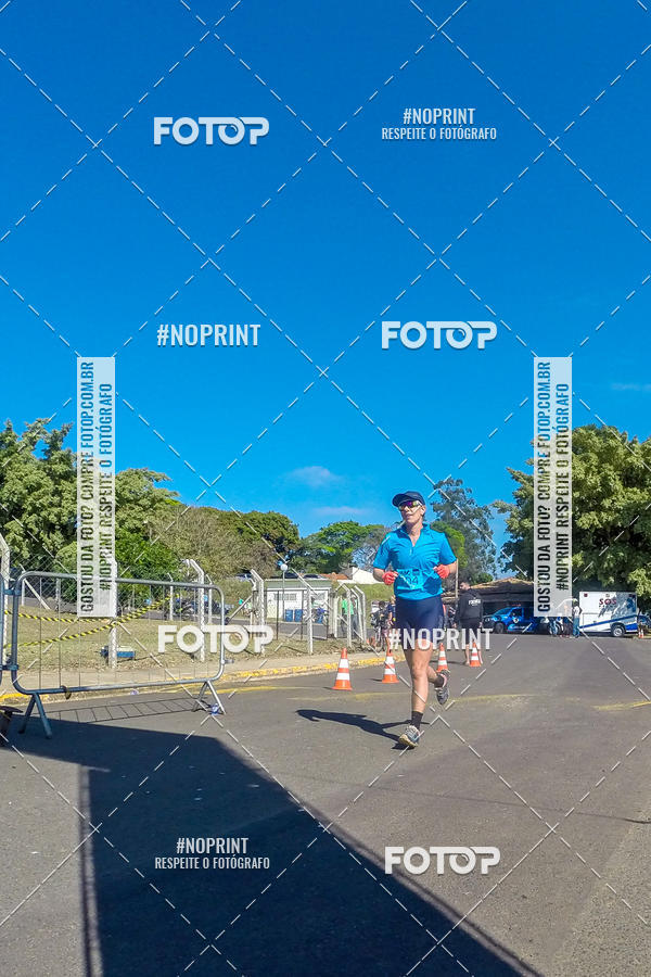 Buy your photos of the eventWolf Series - Botucatu on Fotop