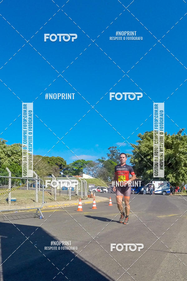 Buy your photos of the eventWolf Series - Botucatu on Fotop