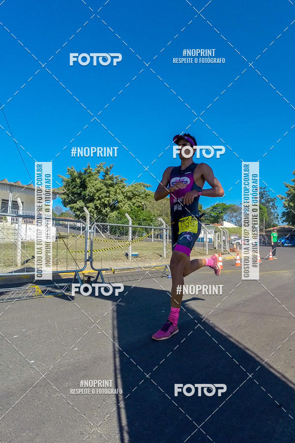 Buy your photos of the eventWolf Series - Botucatu on Fotop