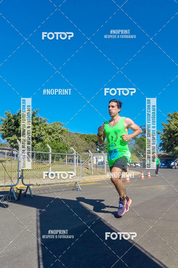 Buy your photos of the eventWolf Series - Botucatu on Fotop