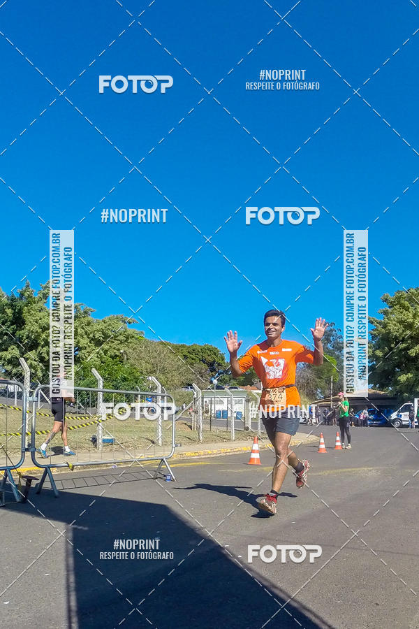 Buy your photos of the eventWolf Series - Botucatu on Fotop