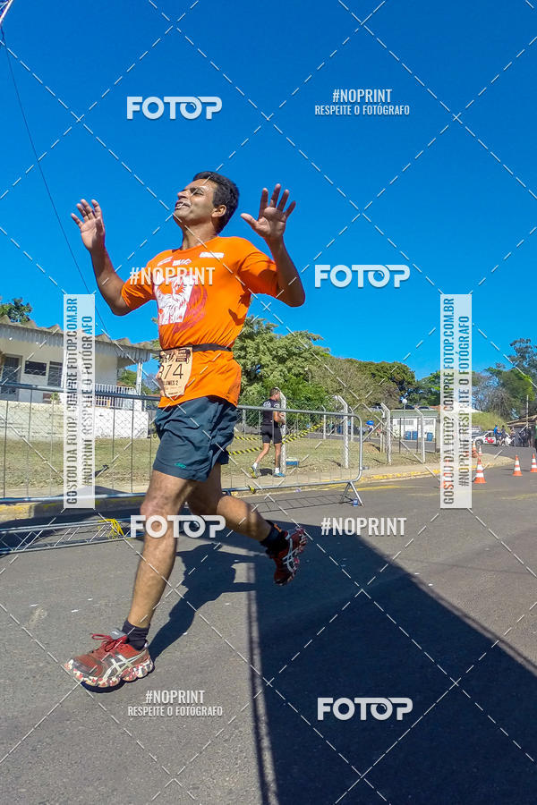 Buy your photos of the eventWolf Series - Botucatu on Fotop