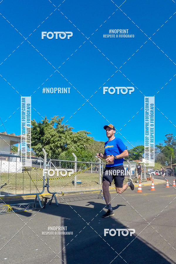 Buy your photos of the eventWolf Series - Botucatu on Fotop