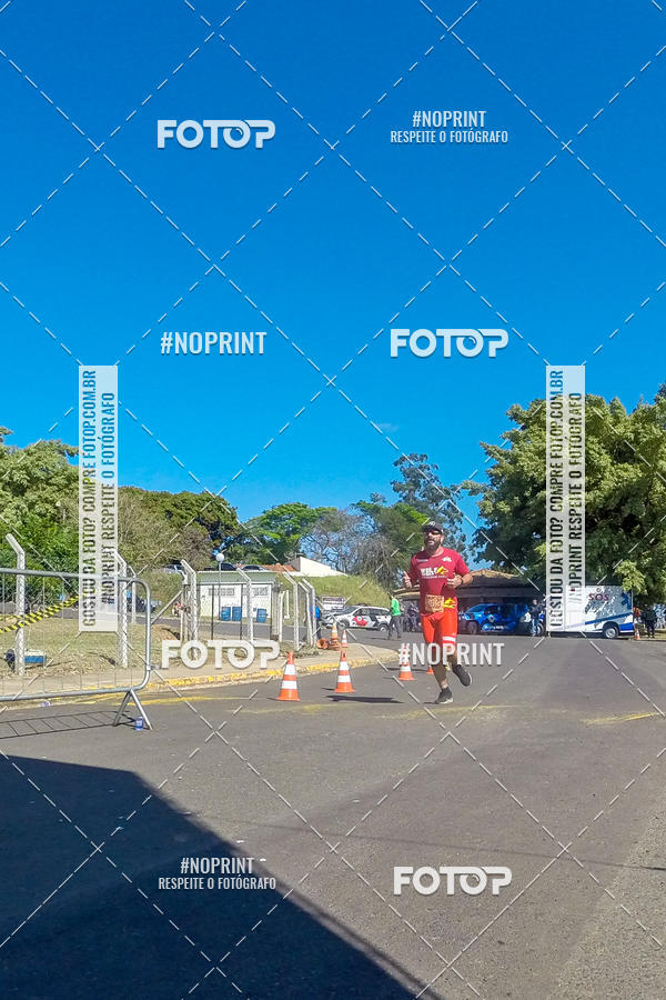 Buy your photos of the eventWolf Series - Botucatu on Fotop