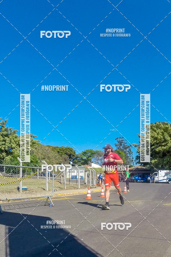 Buy your photos of the eventWolf Series - Botucatu on Fotop