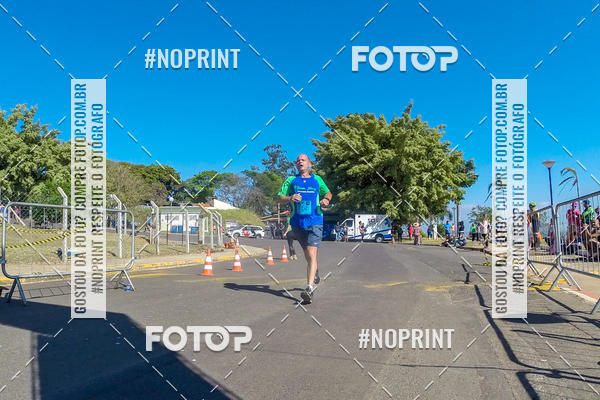 Buy your photos of the eventWolf Series - Botucatu on Fotop